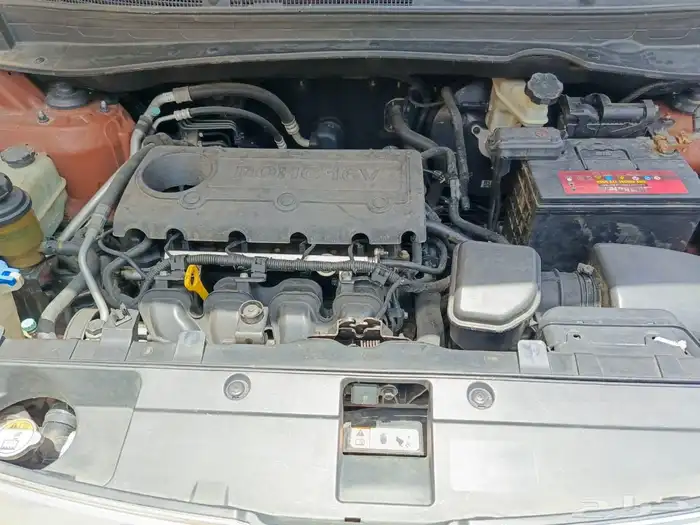 سبورتاج 2012 8