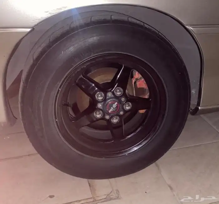 للبيع جنوط ريس ستار اصلية (مباعه) 2