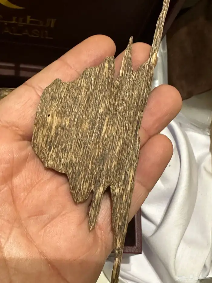 عود فاخر رائحة وثبات( تم البيع ) 4