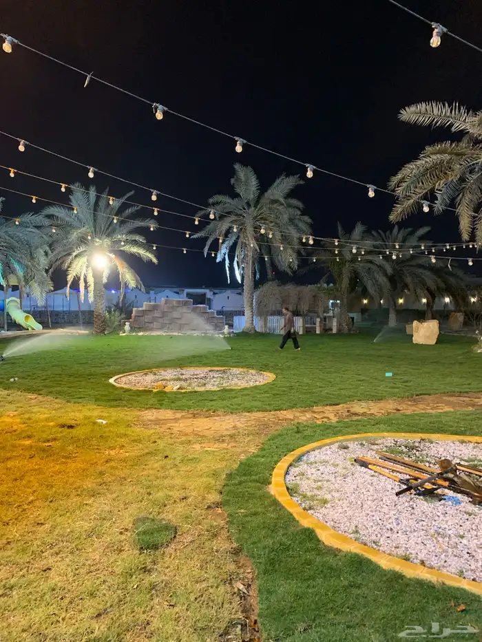 نجيله عشب طبيعي و زراعة وحدائق 46