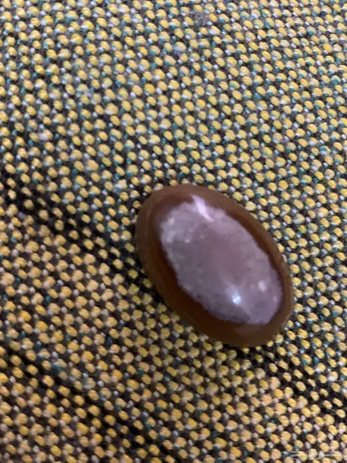الفصوص 2