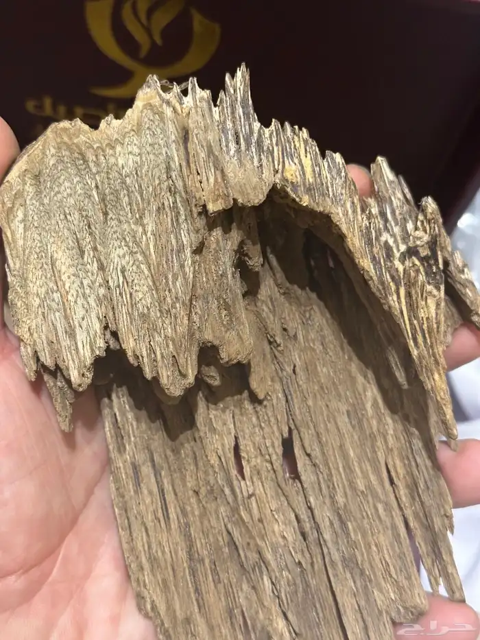 عود فاخر رائحة وثبات( تم البيع ) 10