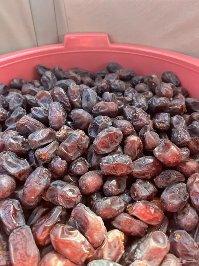 حلوة سعيدان 1