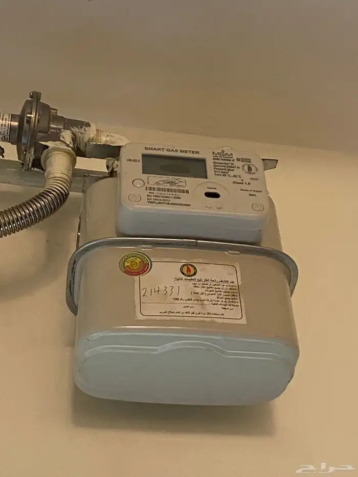 موثث كامل في مصر 15