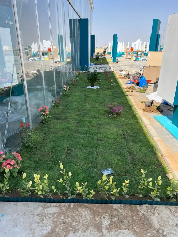 نجيله عشب طبيعي و زراعة وحدائق 12