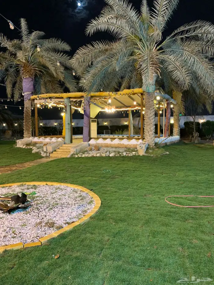 نجيله عشب طبيعي و زراعة وحدائق 50