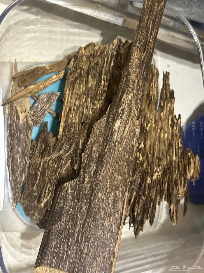 عود فاخر رائحة وثبات( تم البيع ) 1