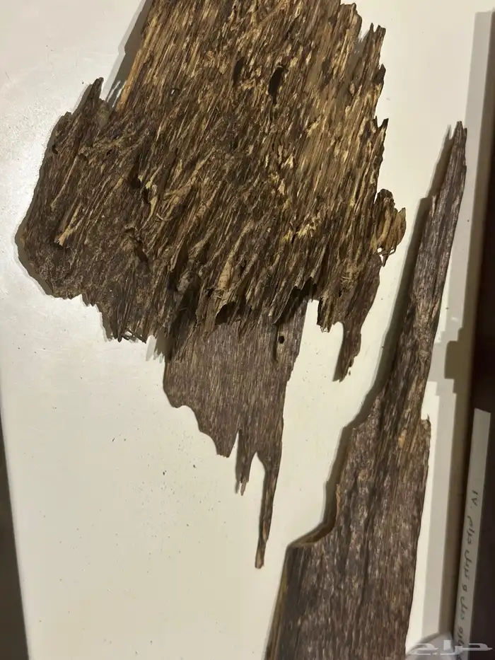 عود فاخر رائحة وثبات( تم البيع ) 0