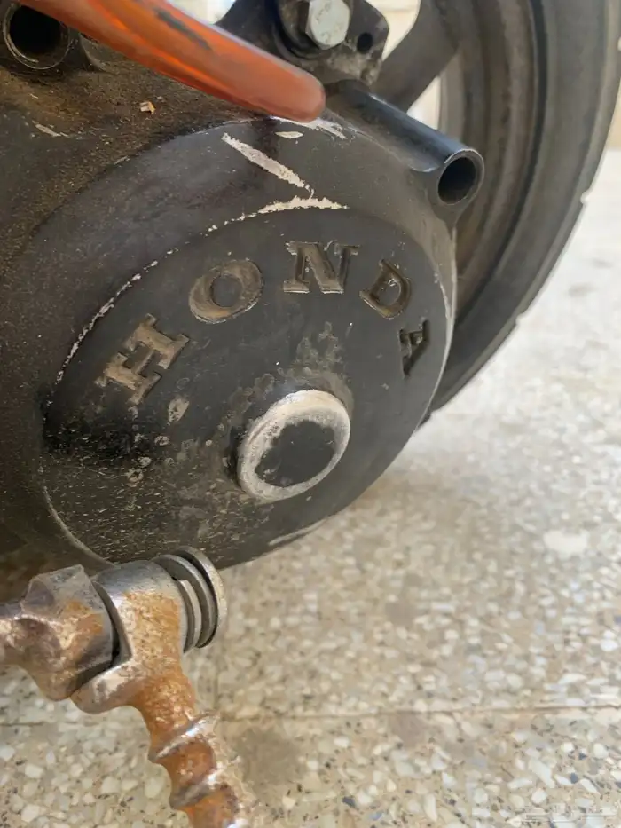 دباب بطه للبيع 0