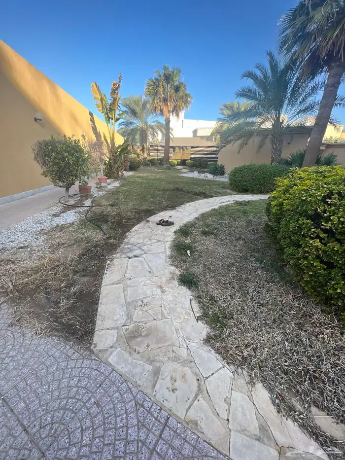 نجيله عشب طبيعي و زراعة وحدائق 2