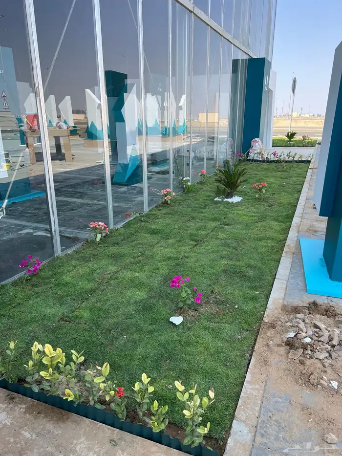 نجيله عشب طبيعي و زراعة وحدائق 13