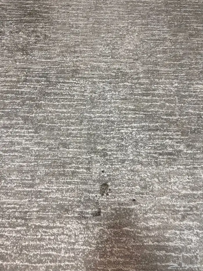 فرش موكيت نظيف جدا 6