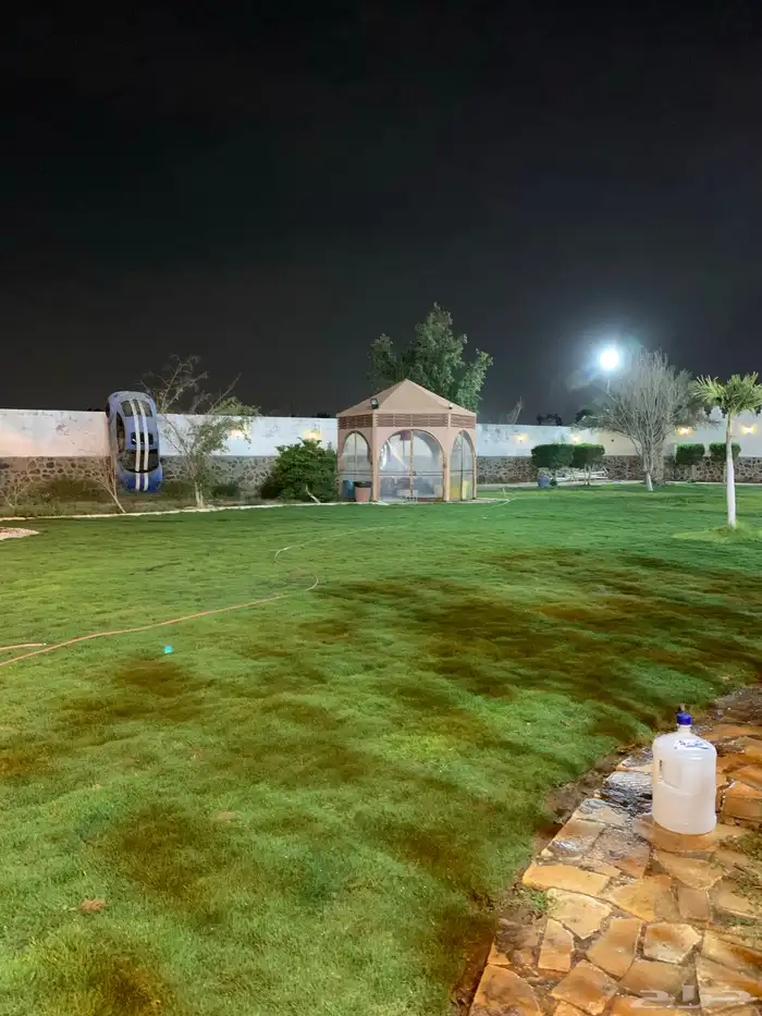 نجيله عشب طبيعي و زراعة وحدائق 49