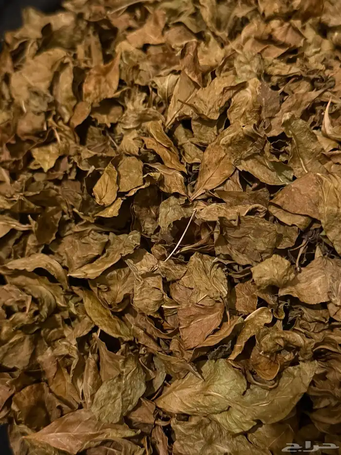 حناء بلدي للبيع 1