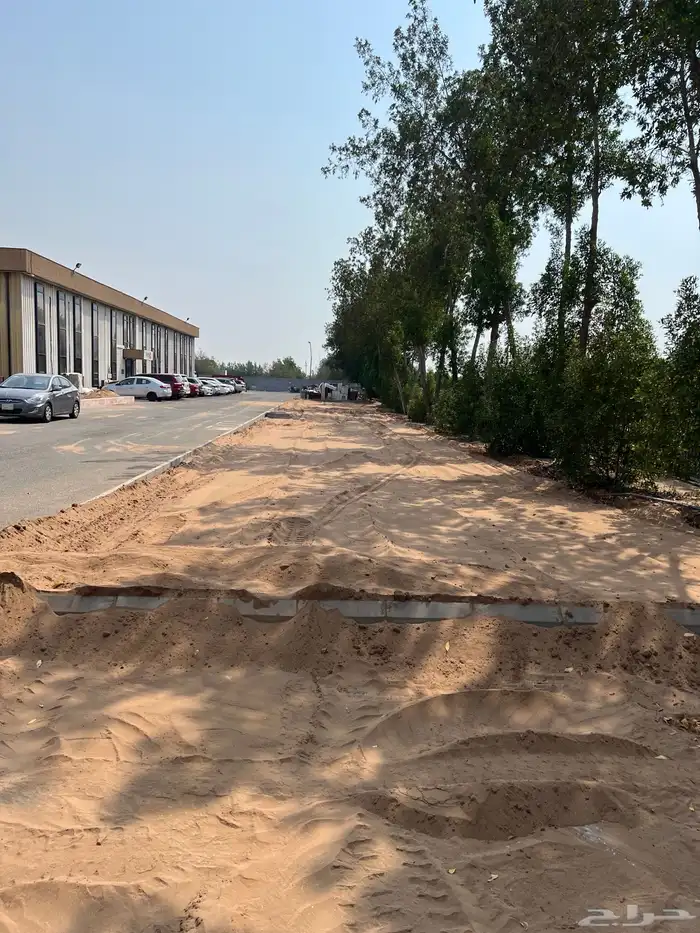 نجيله عشب طبيعي و زراعة وحدائق 23