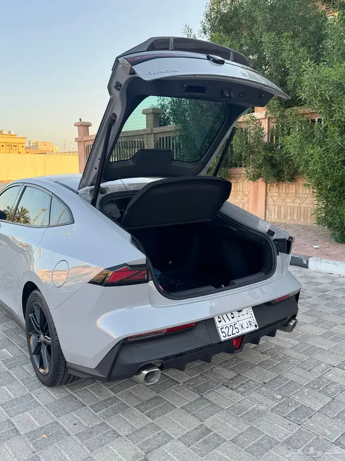 شانجان يوني في 2023 4