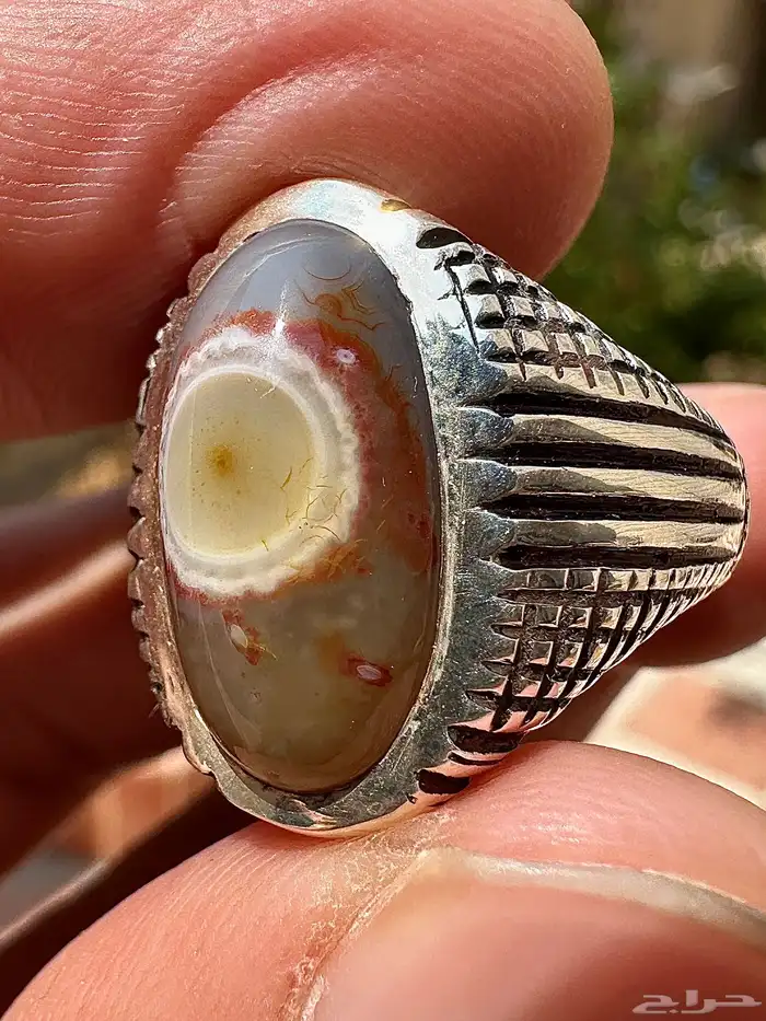 نوادر السليماني الهندي فلور 1