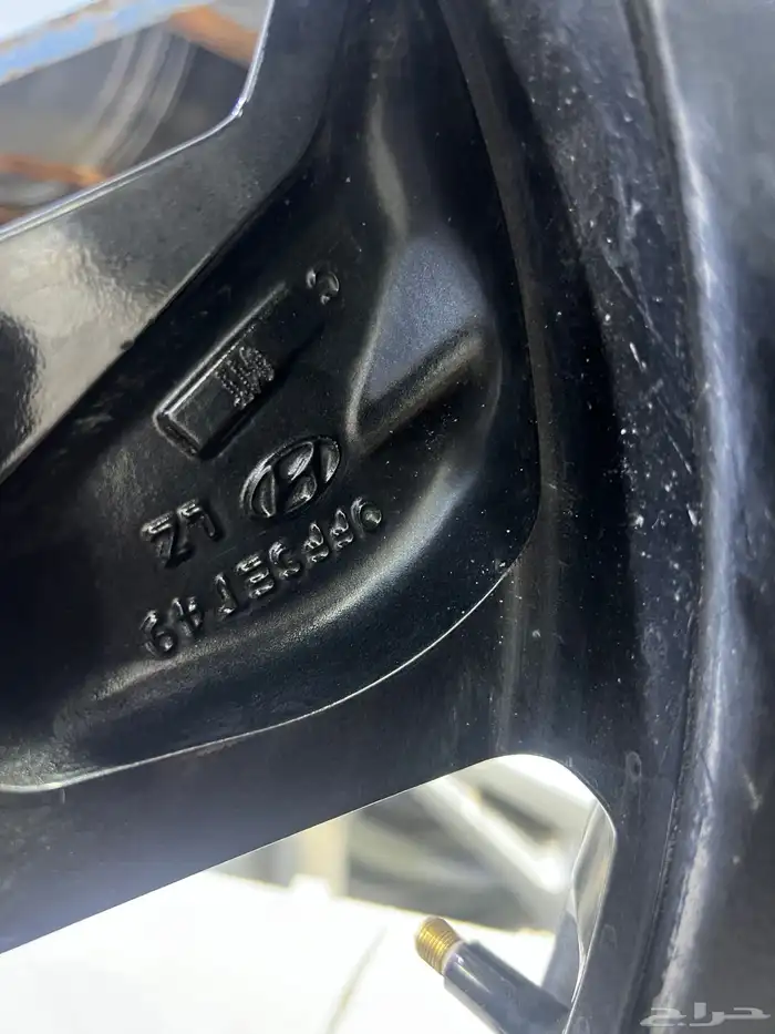 جنوط النتراء اصلي وكاله فل كامل 2025 4