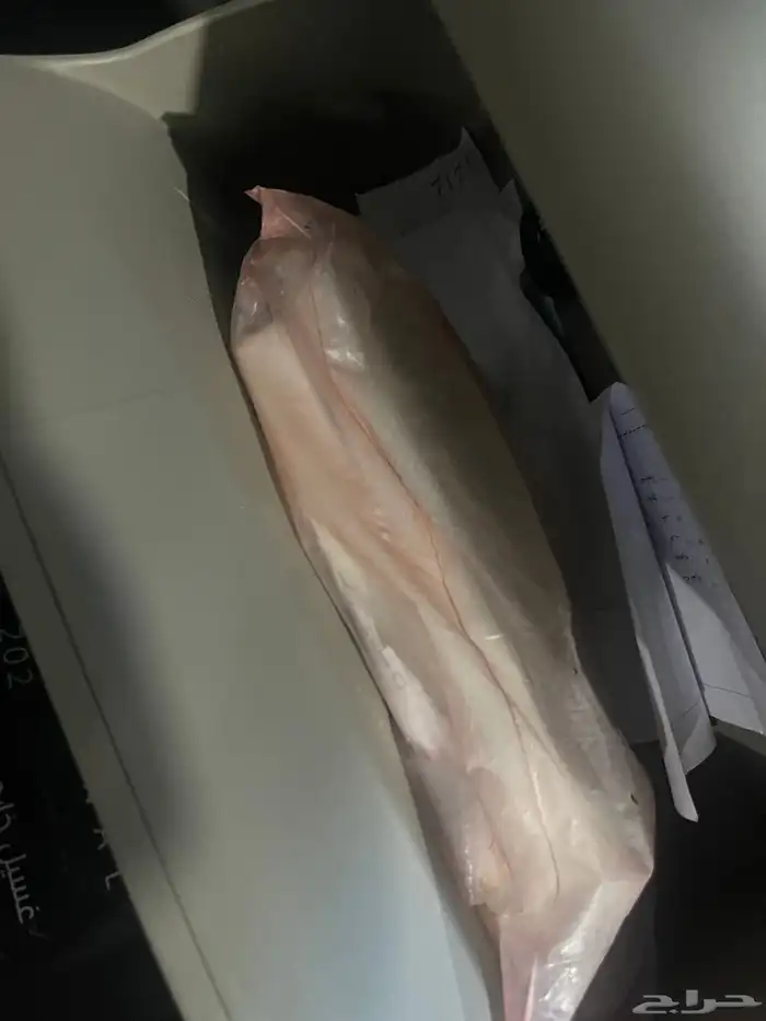 اكسنت 2020 مكينه كبيره ممشى قليل تم البيع 5