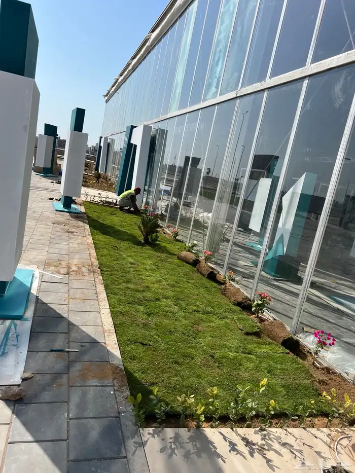 نجيله عشب طبيعي و زراعة وحدائق 16