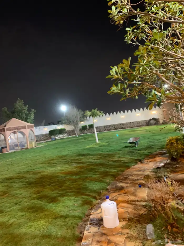 نجيله عشب طبيعي و زراعة وحدائق 48