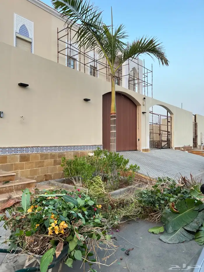 نجيله عشب طبيعي و زراعة وحدائق 19