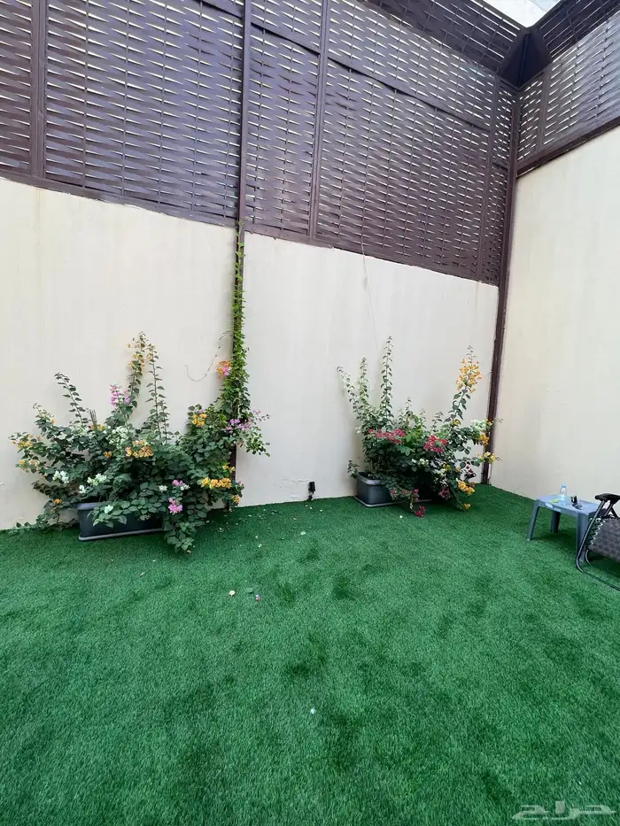 نجيله عشب طبيعي و زراعة وحدائق 20