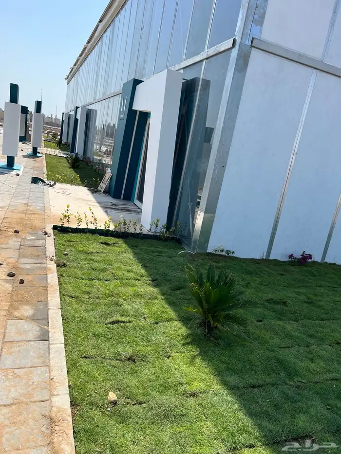 نجيله عشب طبيعي و زراعة وحدائق 11