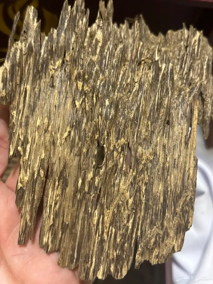 عود فاخر رائحة وثبات( تم البيع ) 3