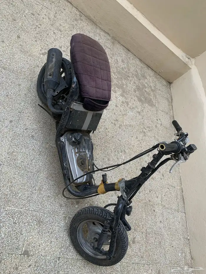 دباب بطه للبيع 9