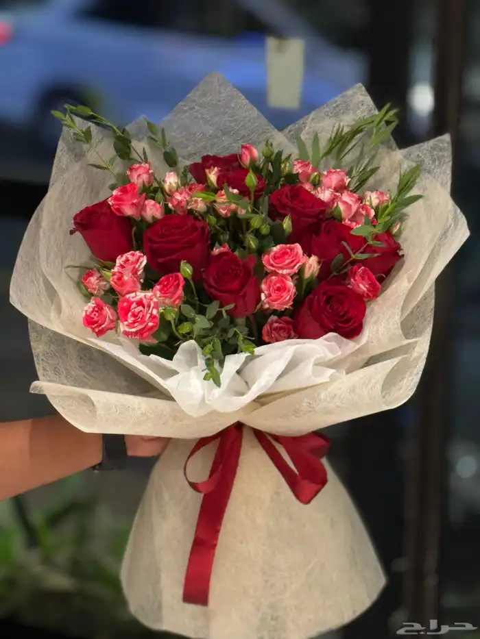 هدايا الباحة_مندوب الباحة 2