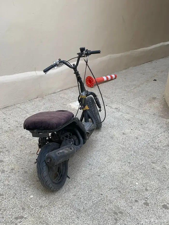 دباب بطه للبيع 7