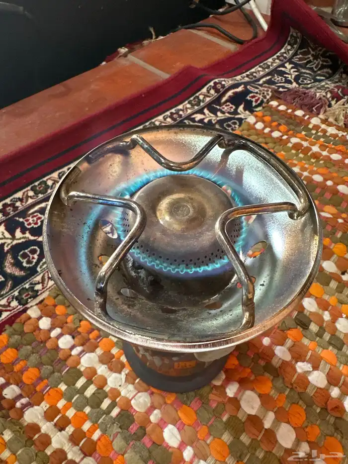 دافور صغير ايطالي 4