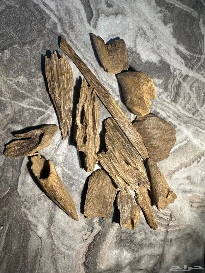 عود ارياني سوبر مرتفع 39.50 غرام 0
