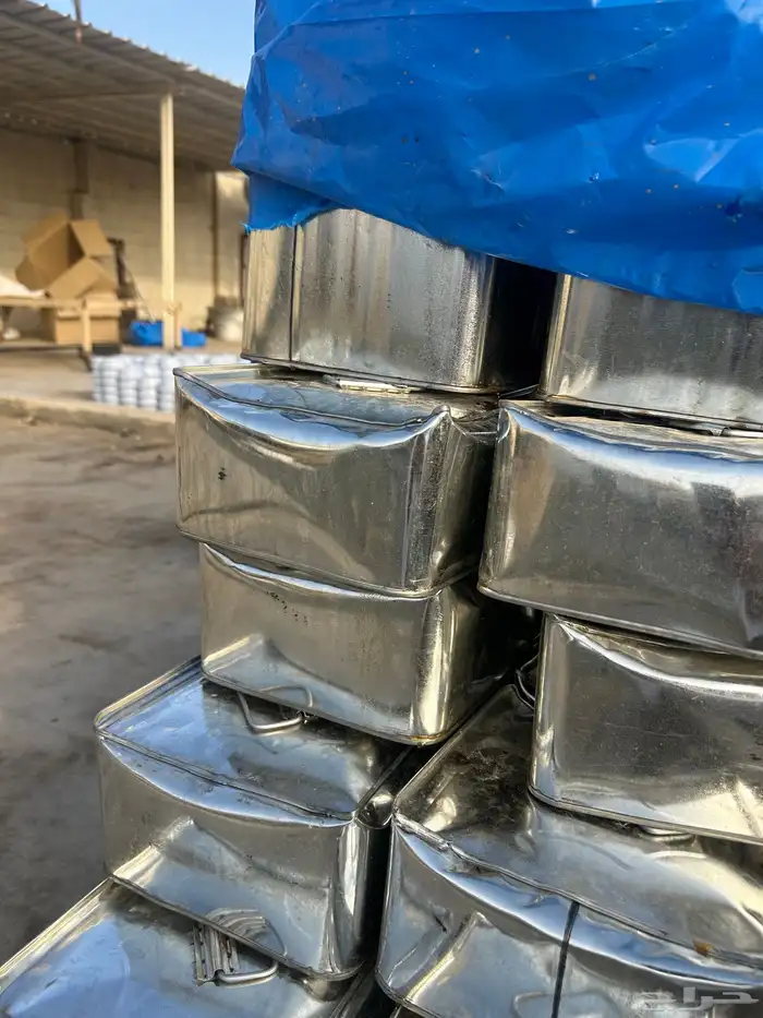 تمر صفري بيشه 2