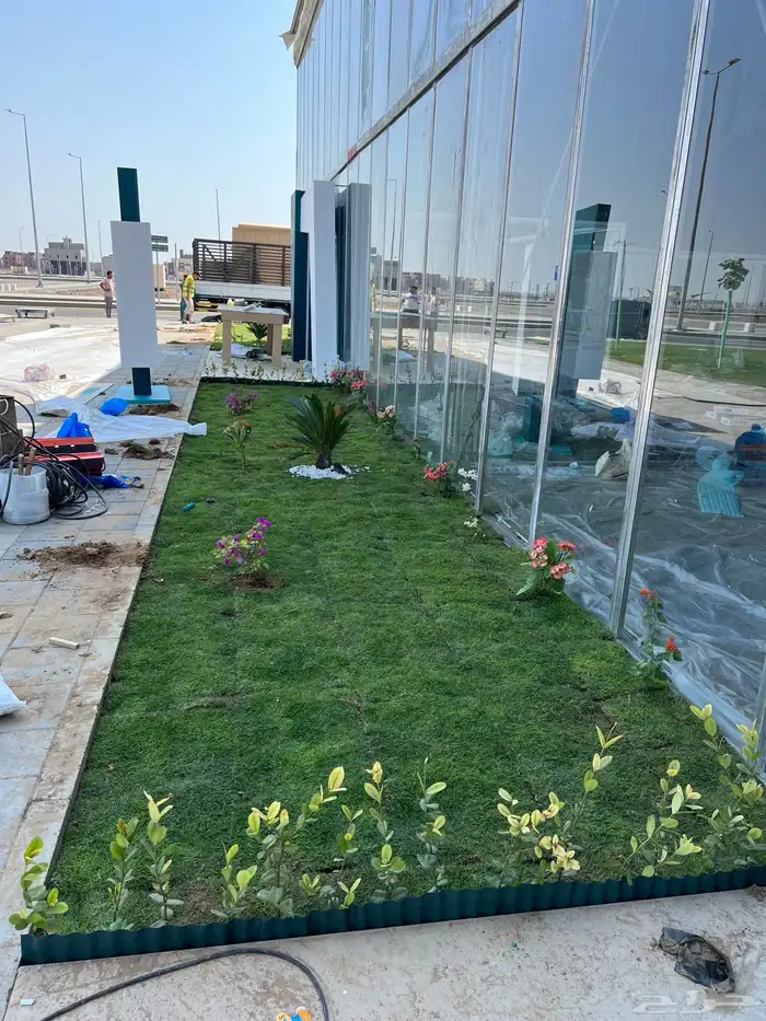 نجيله عشب طبيعي و زراعة وحدائق 14