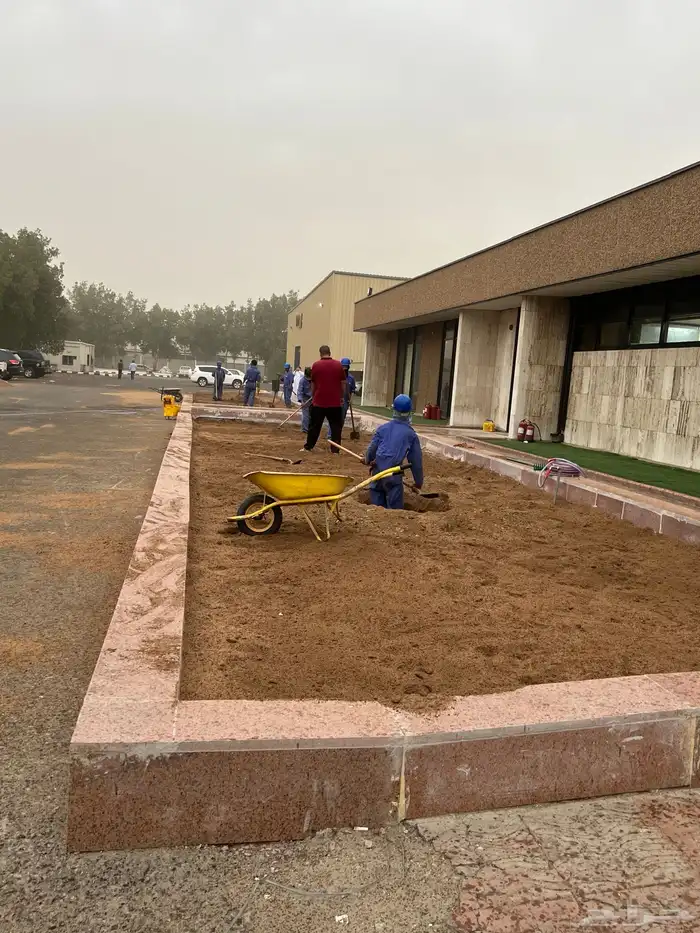 نجيله عشب طبيعي و زراعة وحدائق 25