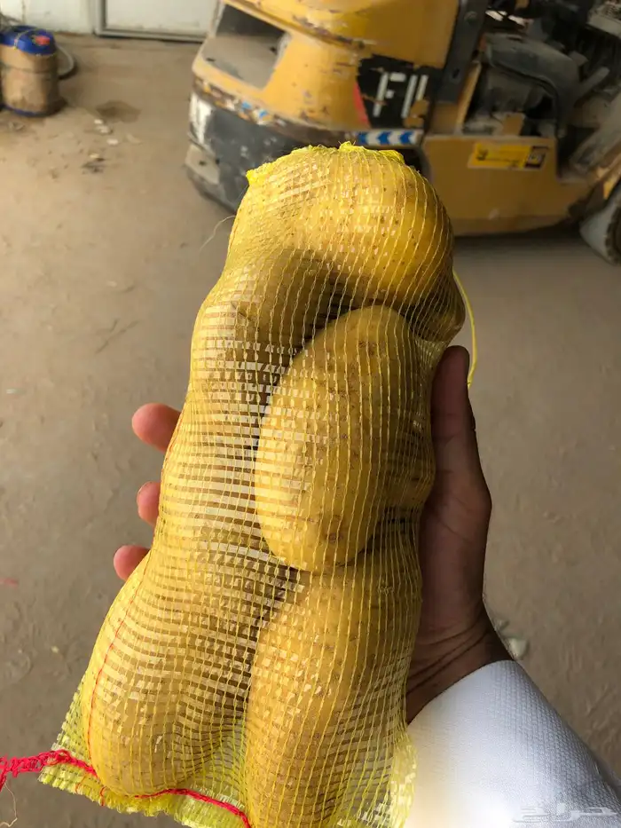 بطاطس وادي الدواسر 1
