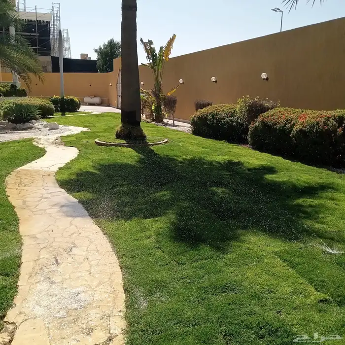 نجيله عشب طبيعي و زراعة وحدائق 7