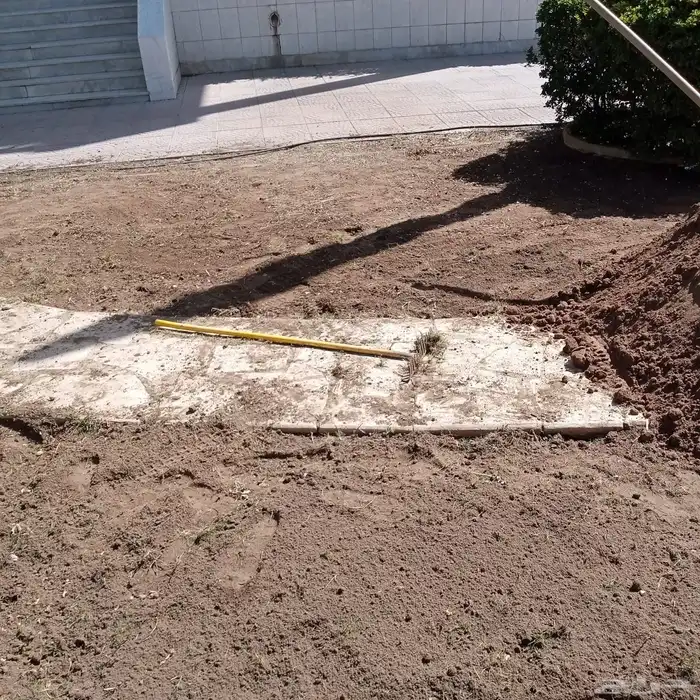 نجيله عشب طبيعي و زراعة وحدائق 4