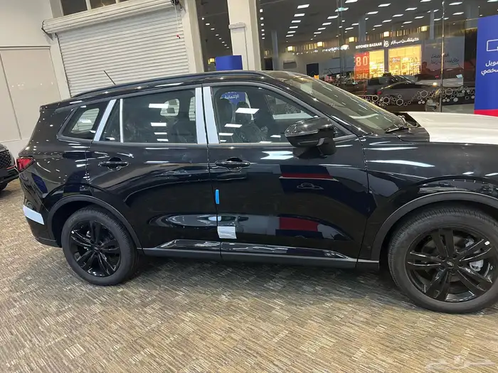 تيرتوري دارك اديشن 2025 19