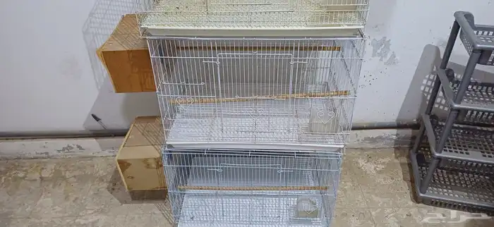 البيع قفص روز 601 0