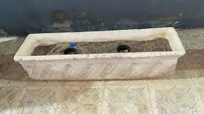 أحياض شجر 1