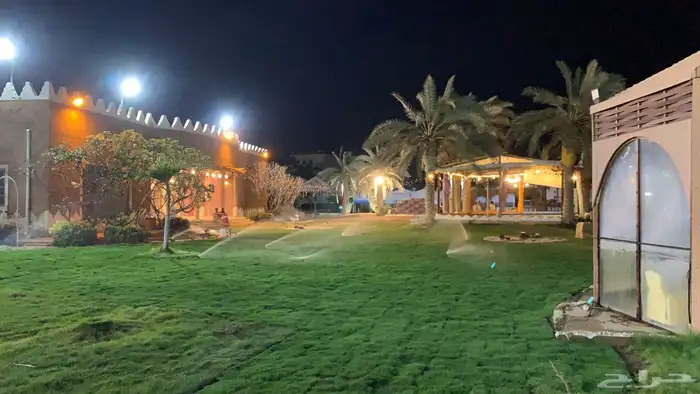 نجيله عشب طبيعي و زراعة وحدائق 44