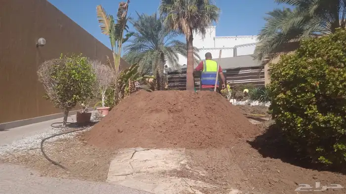 نجيله عشب طبيعي و زراعة وحدائق 3