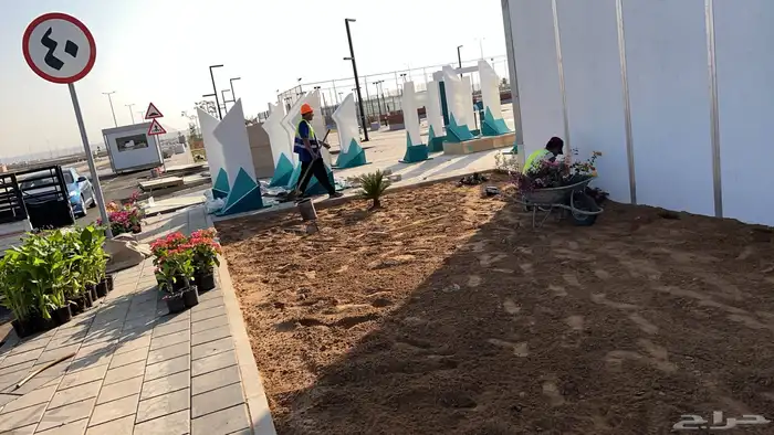 نجيله عشب طبيعي و زراعة وحدائق 9