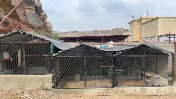 تم البيع الله يبارك لي مشتري 0