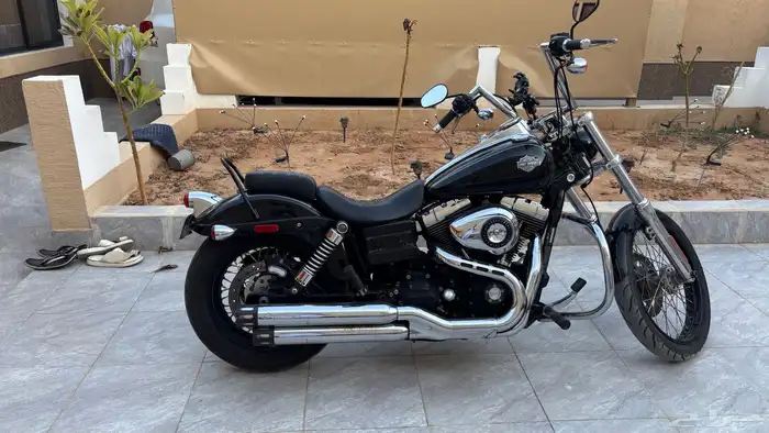 هارلي دايانا 2010 1