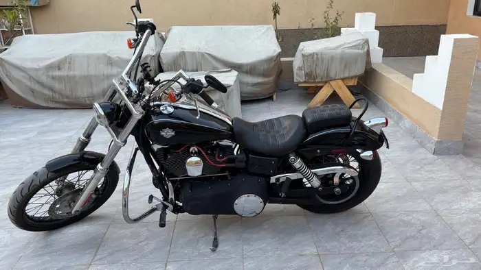 هارلي دايانا 2010 3