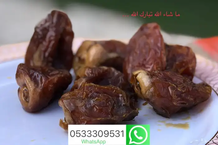 تمر هشيشي ونانة كبس مصنع عنيزة توصيل مجاني 9 ريال 1